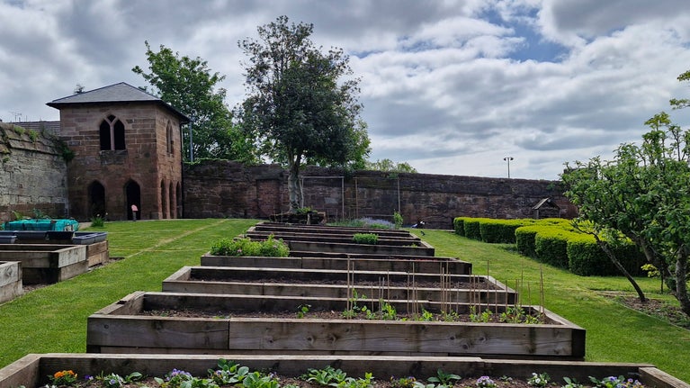 Raised Beds at Charterhouse